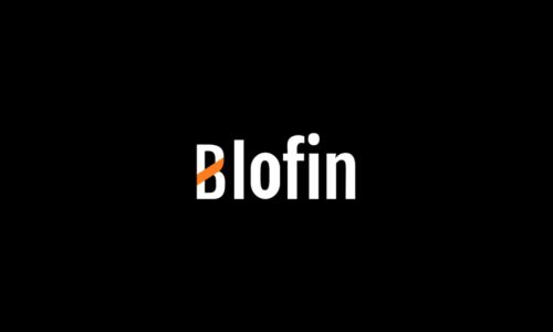 Blofin Exchange Review
